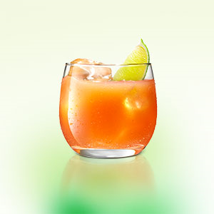 その他 midori City Pop Vintage Vinyl - LP [midori Kinouchi – Garasuzaka] Midori